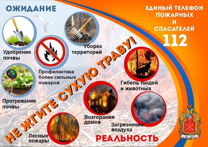 Не жгите сухую траву.jpg